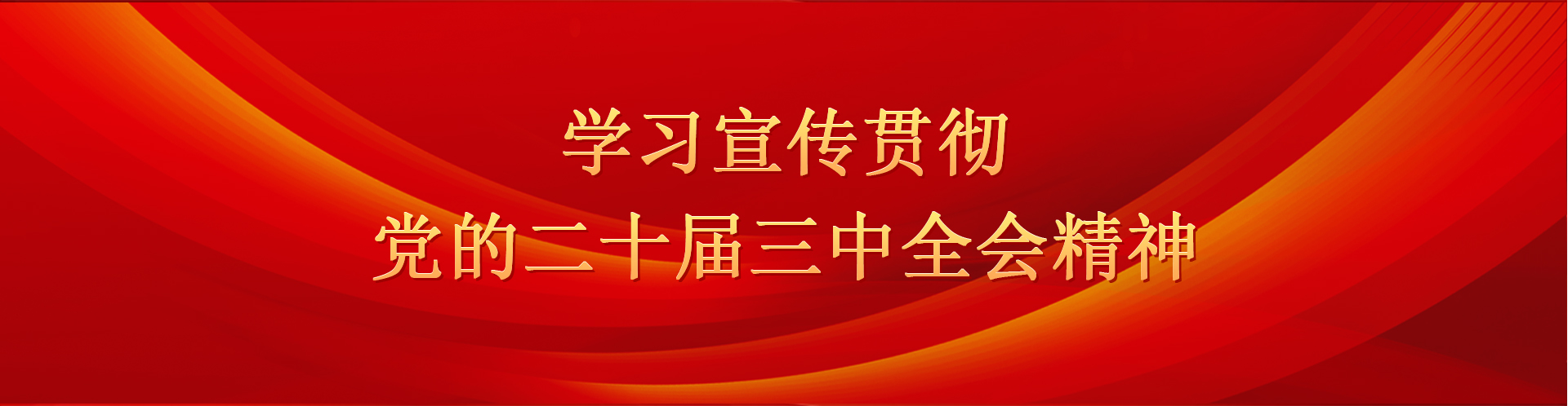 學習宣傳貫徹黨的二十屆三中全會精神